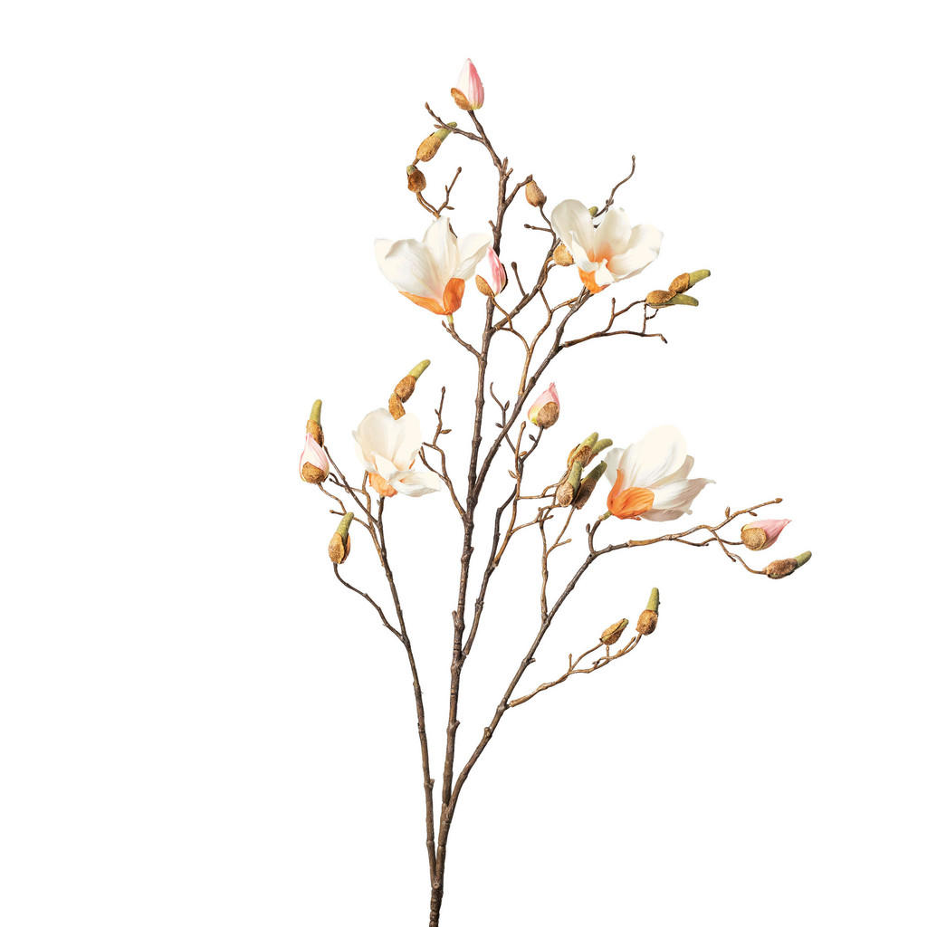 MAGNOLIE 110 cm