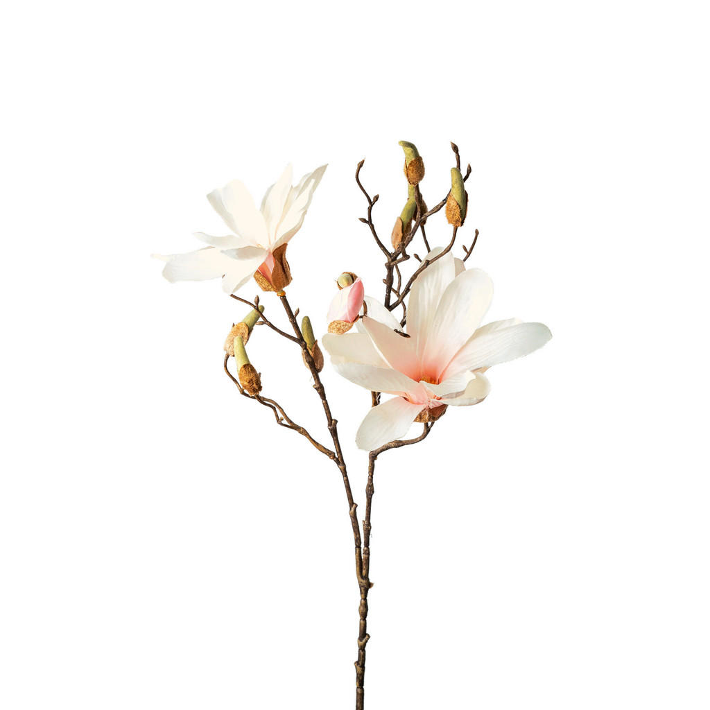 MAGNOLIE 85 cm