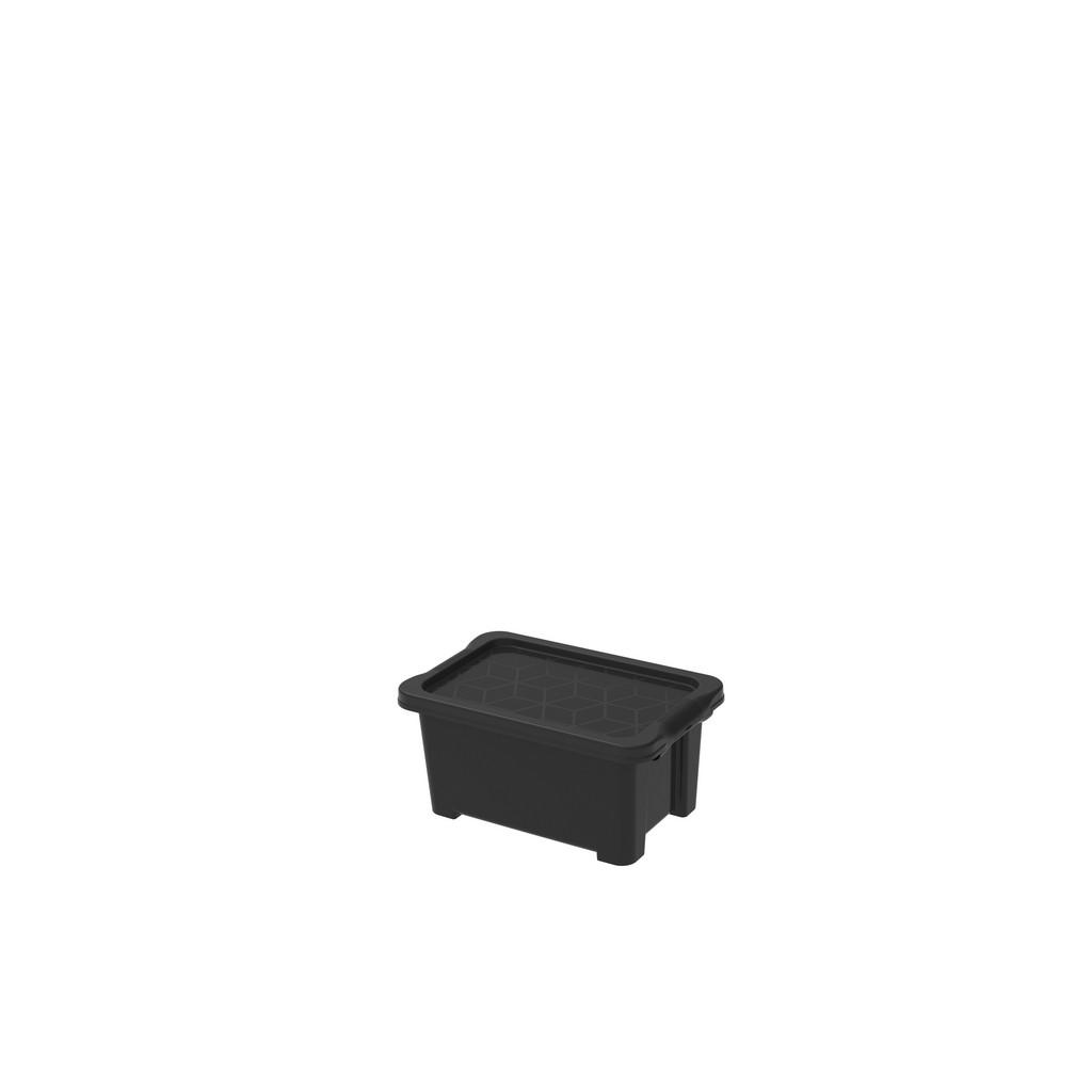 Rotho BOX S VÍKEM