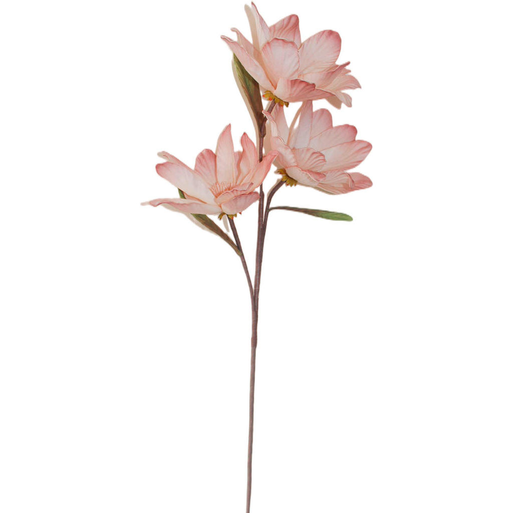 Ambia Home UMĚLÁ KVĚTINA magnolie 90 cm Ambia Home