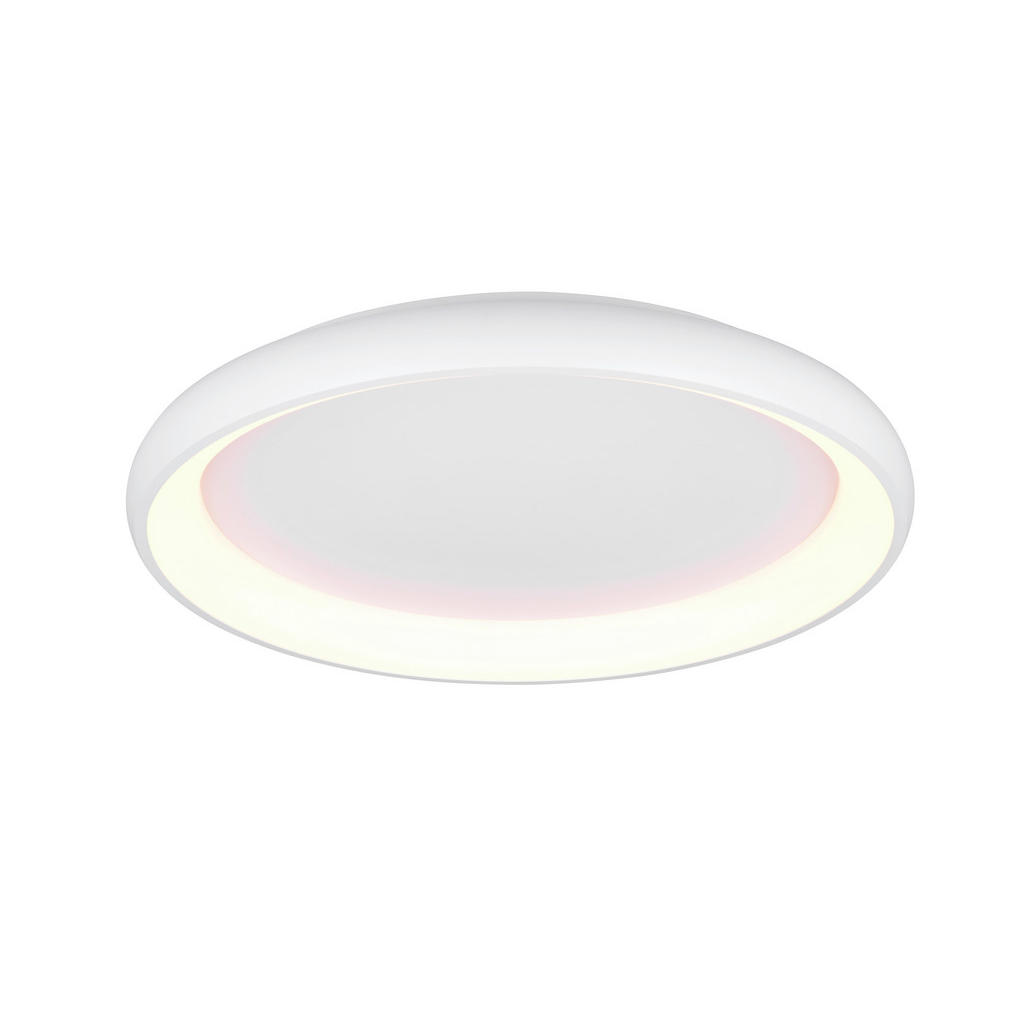 Trio Leuchten STROPNÍ LED SVÍTIDLO