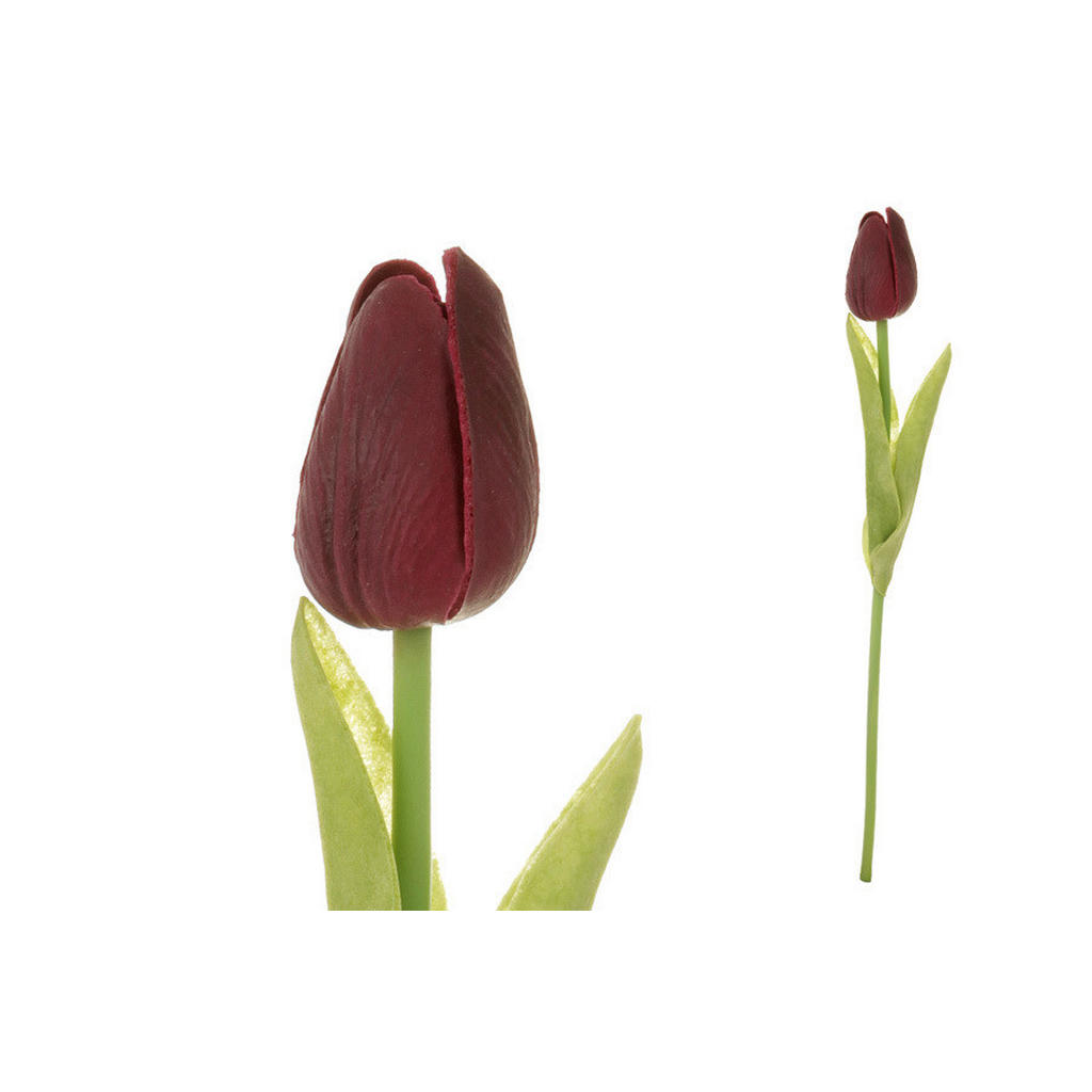 XXXL TULIPÁN 34 cm XXXL