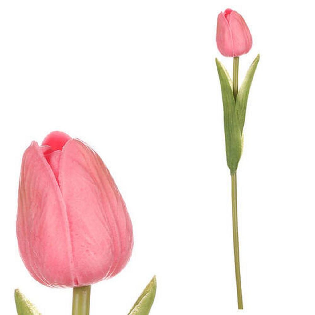 XXXL TULIPÁN XXXL