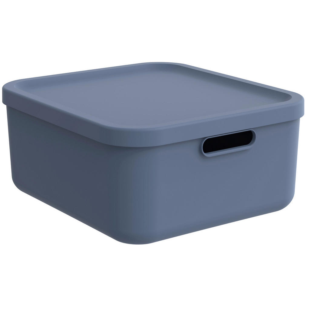 Rotho BOX S VÍKEM
