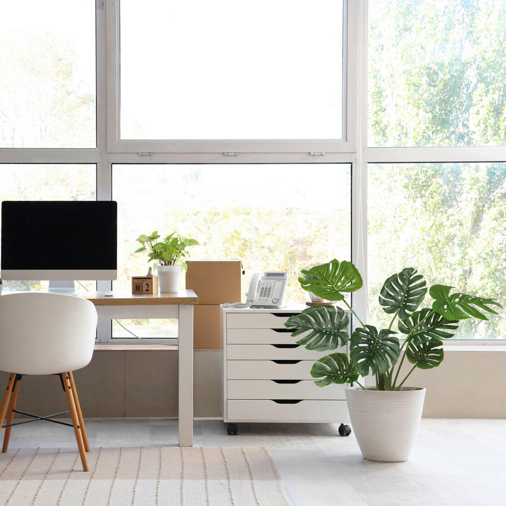 MID.YOU UMĚLÁ ROSTLINA monstera MID.YOU