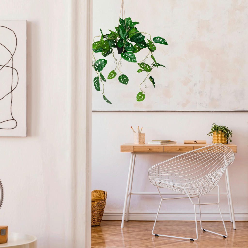 MID.YOU UMĚLÁ ROSTLINA monstera MID.YOU