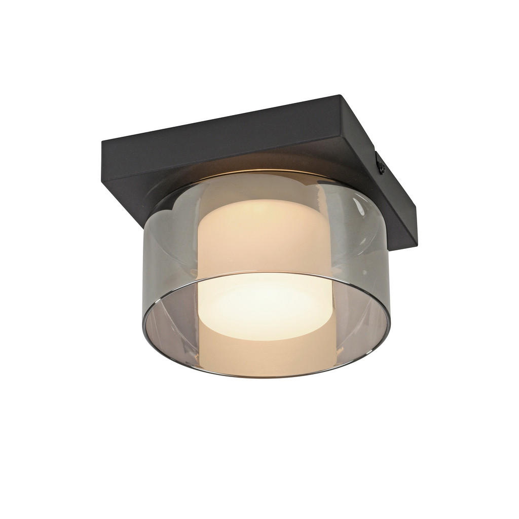 Paul Neuhaus STROPNÍ LED SVÍTIDLO