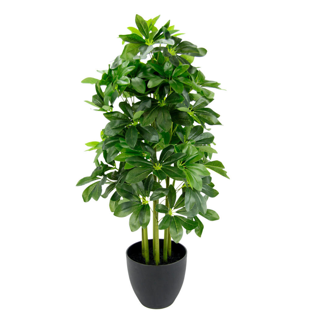 XXXL UMĚLÁ ROSTLINA 80 cm XXXL