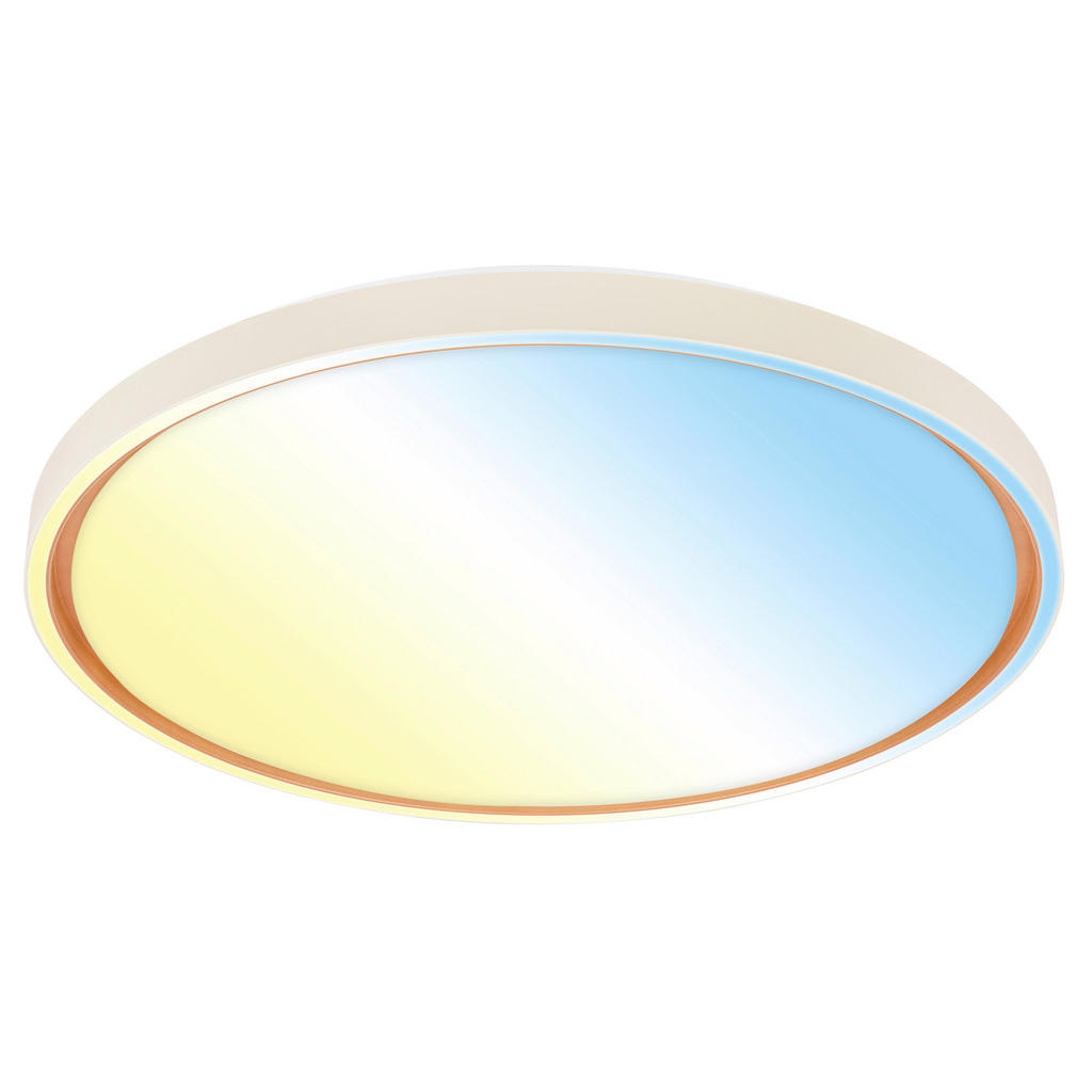 XXXL STROPNÍ LED SVÍTIDLO