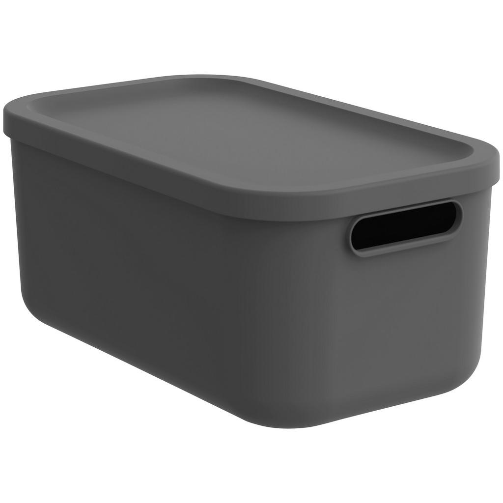 Rotho BOX S VÍKEM
