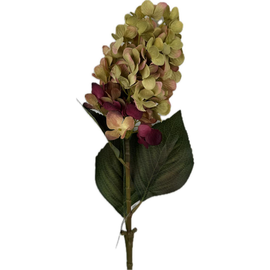 XXXL HORTENZIE 72 cm XXXL