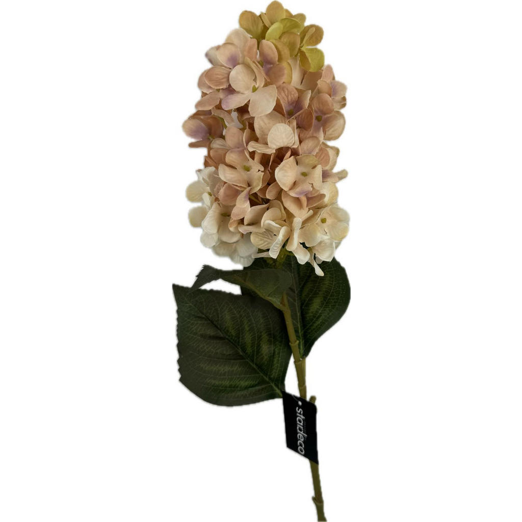 XXXL HORTENZIE 72 cm XXXL