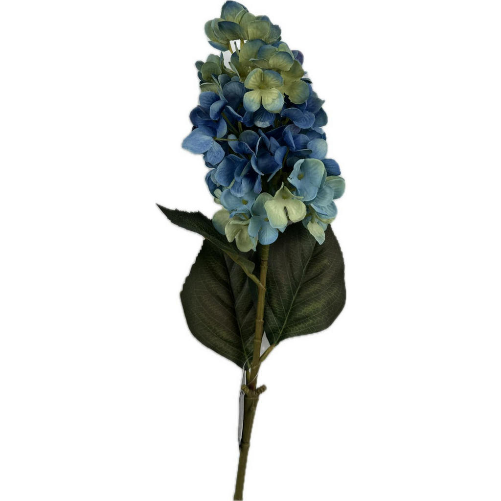 XXXL HORTENZIE 72 cm XXXL